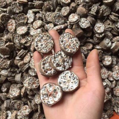 Rượu chuối hột có tốt không?
