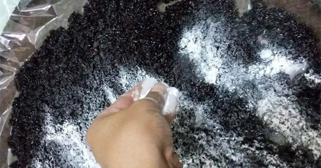 Cách nấu cơm rượu nếp thơm ngon đậm vị cho tết Đoan Ngọ