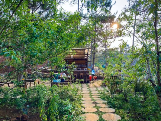 Chino Homestay Măng Đen.