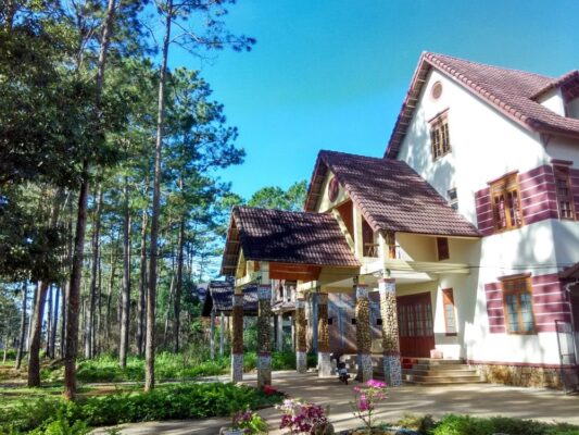 Lưu bản nháp tự động