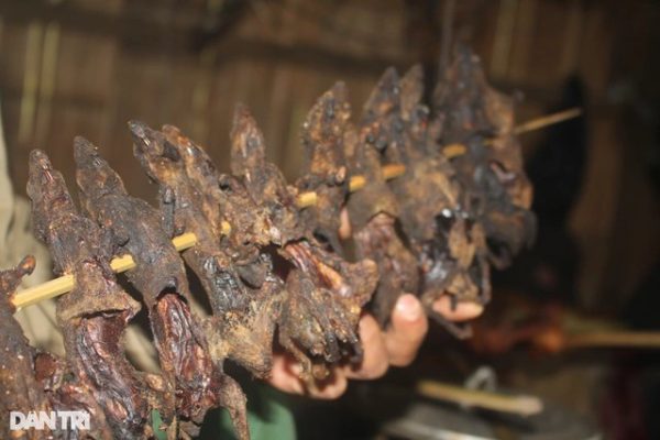 Vượt núi lên "thủ phủ sâm Ngọc Linh" thưởng thức chuột quý tộc, cá gác bếp